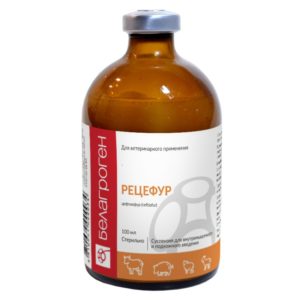 Ռեցեֆուռ 100 մլ․ / Рецефур 100 мл / Recefur 100 ml