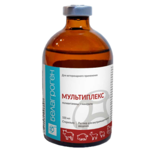 Մուլտիպլեքս 100,0 / Мультиплекс 100,0